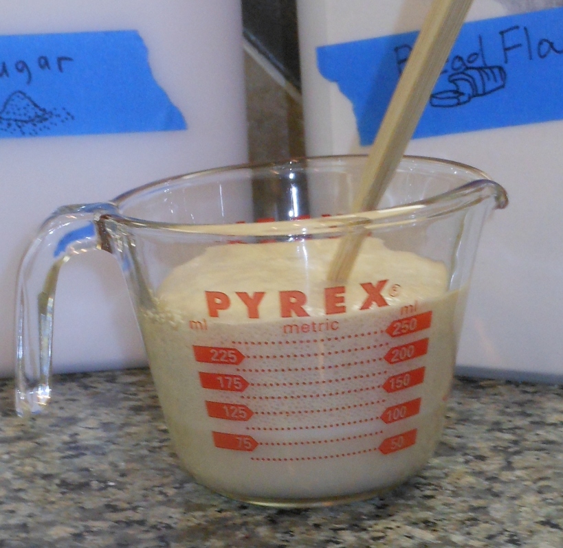 I proofed the yeast.
