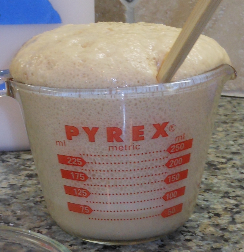 This yeast proofed very quickly, so quickly, in fact, it almost bubbled over!