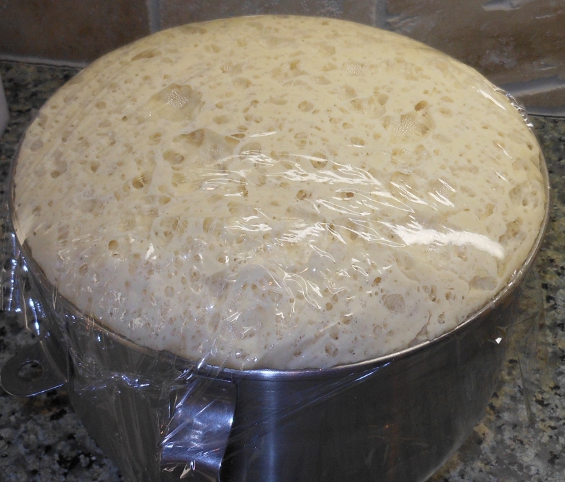 When we arrived home, the dough looked like this.  See the bubbles under the plastic?  The dough has more than doubled and is ready to be formed into cinnamon rolls.