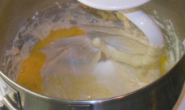 Add the egg, salt, and butter.  Mix just a bit to ensure the salt well distributed in the dough.