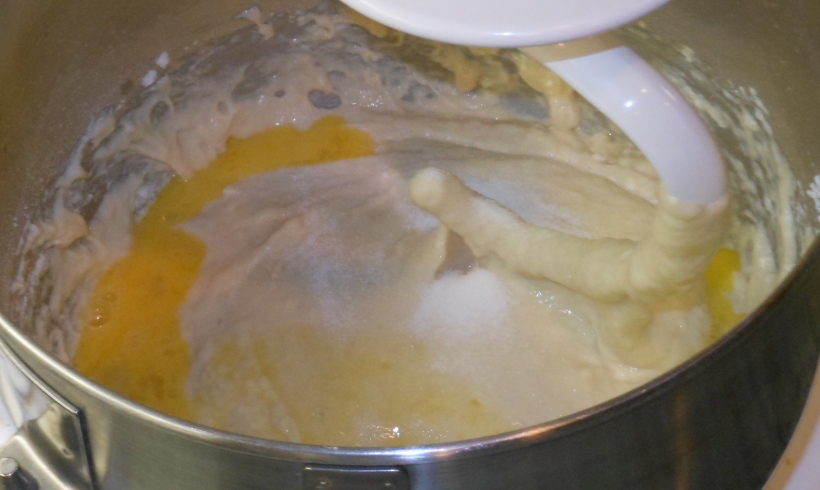 Add the egg, salt, and butter.  Mix just a bit to ensure the salt well distributed in the dough.